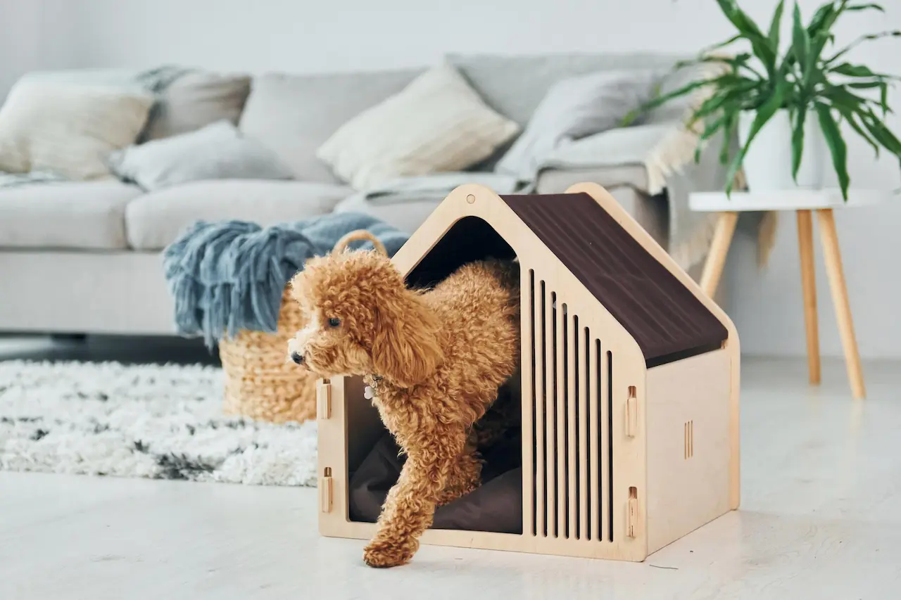 Crafting the Perfect Space for Your Pet